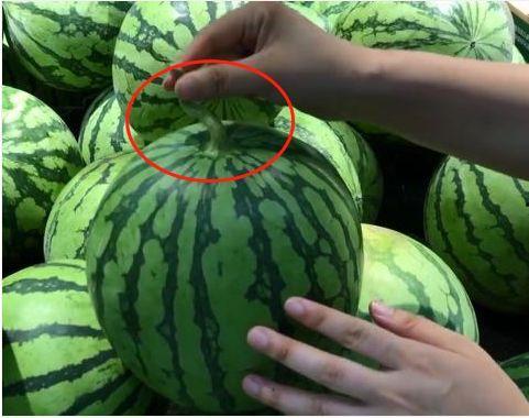 黑心瓜贩西瓜怎么吃,如何辨别与安全食用指南