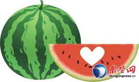 求助吃瓜,吃瓜群众视角下的娱乐圈风云录