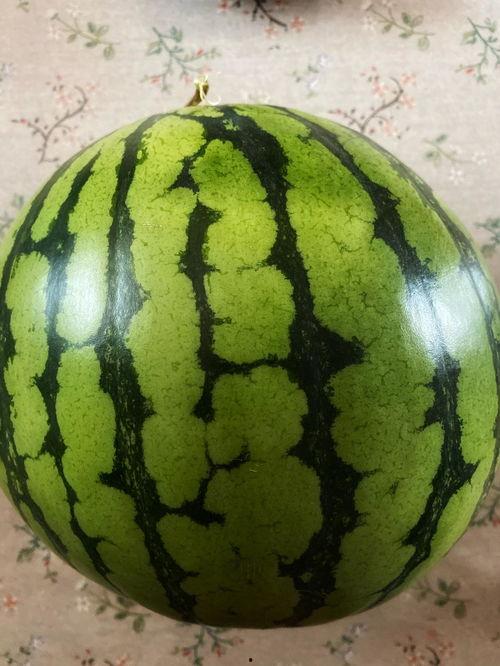 南宁演艺吃瓜事件,吃瓜群众热议的娱乐圈事件揭秘