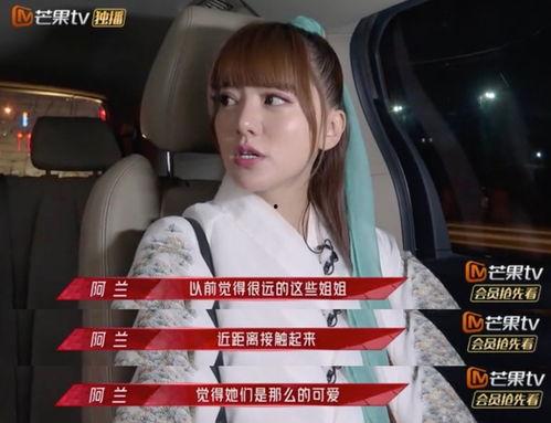 追星吃瓜张柏芝,从追星到吃瓜，娱乐圈的传奇人生