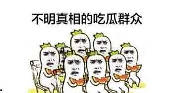 恰恰 瓜子吃瓜群众,吃瓜群众的欢乐源泉