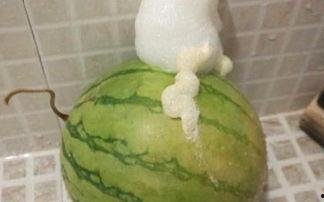 泡泡怎么打开吃瓜,吃瓜乐趣多——揭秘泡泡吃瓜的打开方式