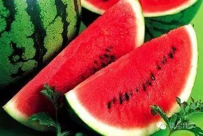 pero队内吃瓜,一场吃瓜盛宴背后的真相