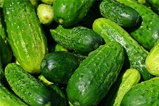 孕妇梦见吃彩色瓜,彩色瓜果预示的奇妙寓意