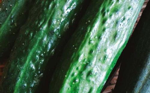 我带着吃瓜系统,吃瓜系统带你领略娱乐圈风云变幻